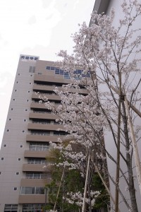 åå¤å±ã­ã£ã³ãã¹ã®æ¡-1